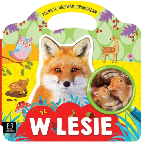 w-lesie-poznaje-nazywam-opowiadam.jpg
